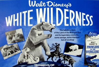 Affiche du film White Wilderness produit par Walt Disney.