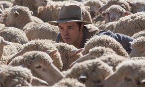 La tête chapeautée de Seth MacFarlane s'élève au milieu d'un troupeau de moutons dans le film Albert à l'ouest.