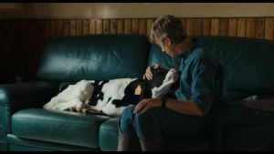 Swann Arlaud réconforte un veau allongé sur le canapé de son salon, scène du film Petit Paysan pour notre interview de Hubert Charuel.