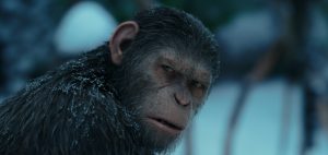 Le singe César conçu par Joe Letteri le regard sombre tourné vers sa droite, en fond la forêt enneigée du film La planète des singes Suprématie.