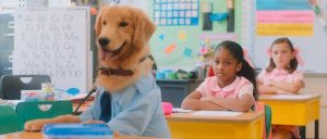 Un labrador assis dans le rang d'une salle de classe, et vêtue d'une chemise et d'une cravate, scène du film Greener Grass.