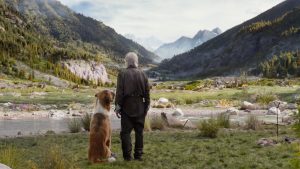 Harrison Ford et son chien vus de dos, contemplant une vallée montagneuse à la fois verte et nuageuse, scène du film L'appel de la forêt.