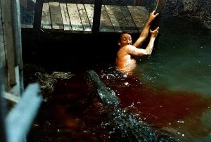 Un nageur s'agrippe à une embarcadère en bois tandis que s'approche de lui une traînée dans sang dans l'eau et un gigantesque crocodile, scène du film Le crocodile de la mort.