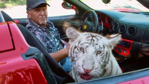 Un homme, casquette sur le front et chemise au motif tigre, est au volant d'une Ferrari Rouge, sur le siège passager un tigre blanc adulte.