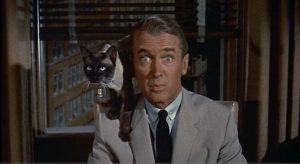 James Stewart assis les yeux écarquillés, tandis qu'un chat grimpe sur son épaule, à l’arrière-plan une fenêtre qui donne sur l'immeuble d'en face, scène du film L'adorable voisine.