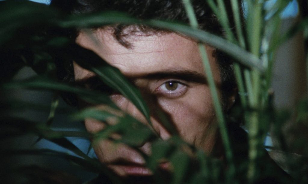 Un homme, voyeur, observe à travers les feuilles d'une plante dans le film Les charnelles.