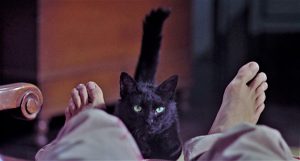 Un chat noir entre les pieds d'un homme allongé dans le film Les griffes de la peur.
