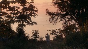 Un ciel orangé de crépuscule, un bord de mer à Tahiti et la végétation luxuriante qui entoure Benoit Magimel, vu en petite silhouette et de dos, scrute l'horizon avec des jumelles ; scène du film Pacifiction.