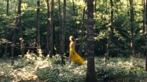 Plan d'ensemble sur une femme en robe jaune, vue de profil, qui marche dans une forêt baignée dans un doux soleil ; issu du film Nectar de Lucile Hadzihalilovic.
