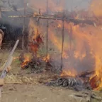 Un homme blanc, fusil au poing, se réjouit de la cabane d'indigène qui est en train de brûler ; plan du film de Ruggero Deodato Cannibal Holocaust.