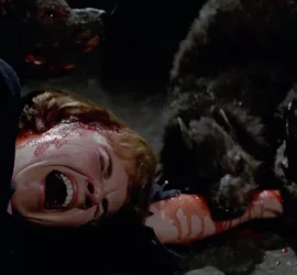 Deux rats géants dévorent le bras d'une femme hurlant à terre dans le film Les rats attaquent.