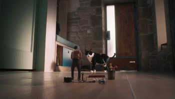 Jean Dujardin miniaturisé face à un chat plus grand que lui, dans L'homme qui rétrécit.