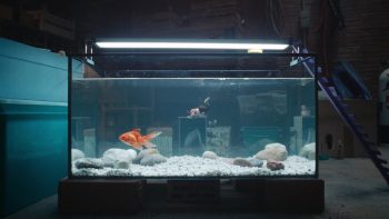 Jean Dujardin miniaturisé nage dans un aquarium, plus petit encore qu'un poisson rouge, dans L'homme qui rétrécit de Jan Kounen.