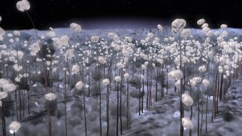 Planet A de Momoko Seto time lapse de cristaux de sel.