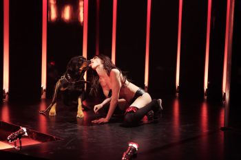 Une jeune femme très peu vêtue est à genoux sur une scène, où elle embrasse un chien avec la langue ; deux spots éclairent la scène et on devine, derrière, une sorte de rideau rouge ; plan du film GO GO TALES d'Abel Ferrara.