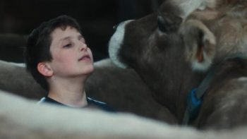 Un petit garçon aux cheveux bruns coupés courts lève le menton en direction d'une vache ; les deux têtes sont saisies en plan rapprochée comme si l'enfant était en discussion avec l'animal ; la vache est brune et a le bout du museau blanc ; plan du film GABIN, présenté à Cannes 2026.
