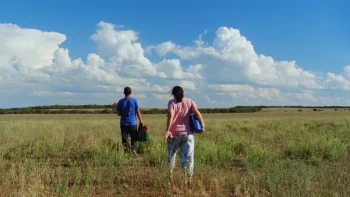 Un homme et une femme de dos, marchant dans un champs sous le ciel bleu.
