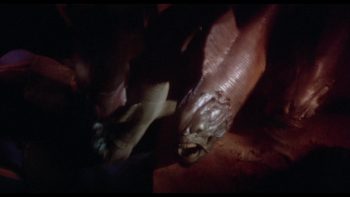 Dans la pénombre rougeâtre surgit un poisson monstrueux à la peau grisâtre et luisante ; sa gueule entrouverte laisse apparaître des dents pointues, tandis que d’immenses nageoires translucides, semblables à des ailes, se déploient de chaque côté de son corps ; plan du film PIRANHA 2 de James Cameron.
