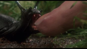 Une limace attaque un doigt dans Slugs (1988), film d'horreur réalisé par Juan Piquer Simón.