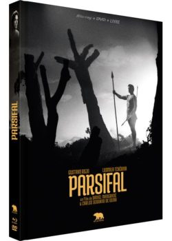 Visuel (cover) de l'édition du combo Blu-ray / dvd de PARSIFAL chez Artus Films.